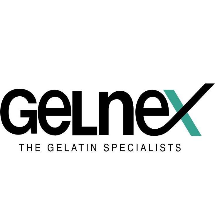 Logo oficial do cliente Gelnex